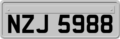 NZJ5988