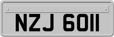 NZJ6011