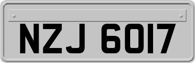 NZJ6017