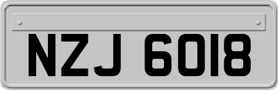 NZJ6018