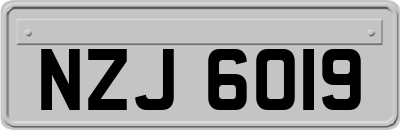 NZJ6019