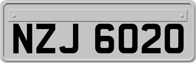 NZJ6020
