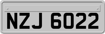 NZJ6022