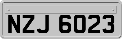 NZJ6023
