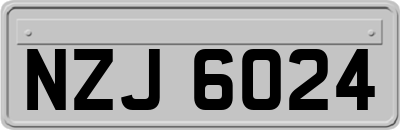 NZJ6024