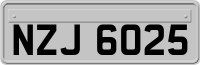NZJ6025