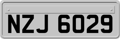 NZJ6029