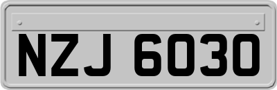 NZJ6030