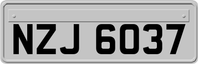 NZJ6037