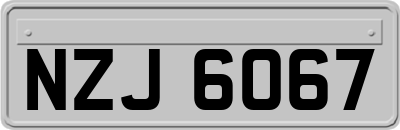 NZJ6067