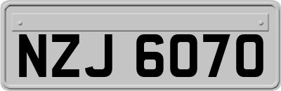 NZJ6070