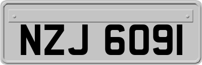 NZJ6091