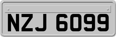 NZJ6099