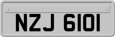 NZJ6101