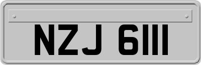 NZJ6111