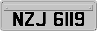 NZJ6119