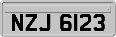 NZJ6123