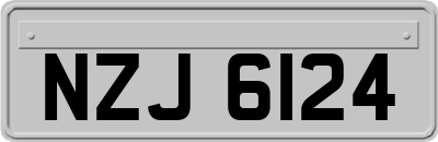 NZJ6124