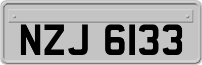 NZJ6133
