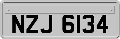 NZJ6134