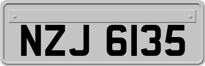 NZJ6135