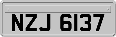 NZJ6137