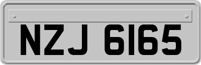 NZJ6165