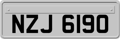 NZJ6190