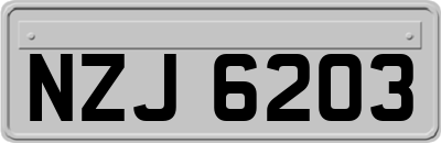 NZJ6203
