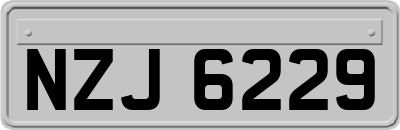 NZJ6229