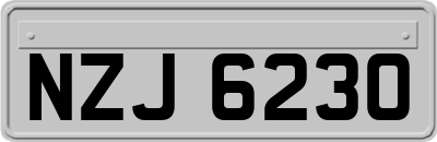 NZJ6230