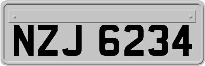 NZJ6234