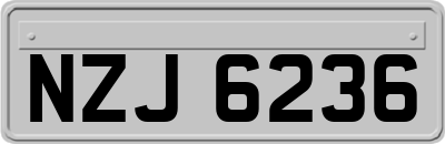 NZJ6236