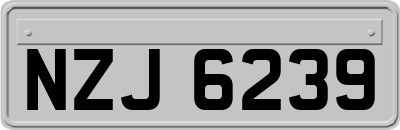NZJ6239