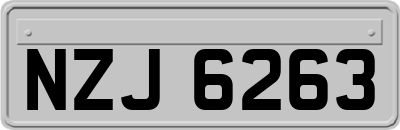 NZJ6263