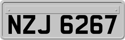 NZJ6267