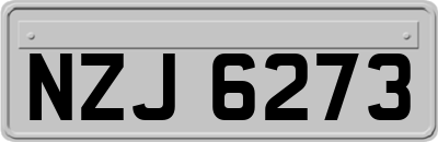 NZJ6273