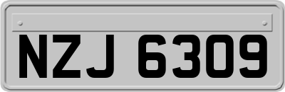 NZJ6309