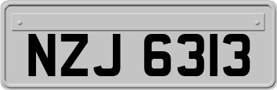NZJ6313