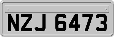 NZJ6473