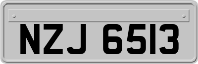NZJ6513