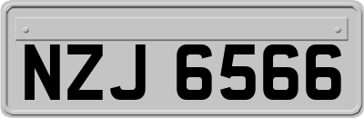 NZJ6566