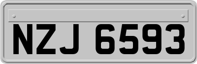 NZJ6593