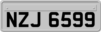 NZJ6599