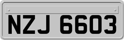 NZJ6603