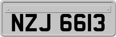 NZJ6613