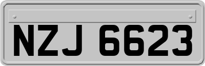 NZJ6623