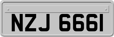 NZJ6661