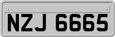 NZJ6665