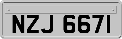 NZJ6671